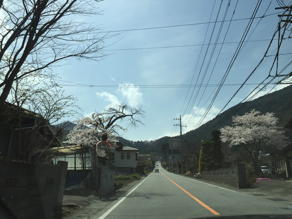 チャレンジ富士五湖