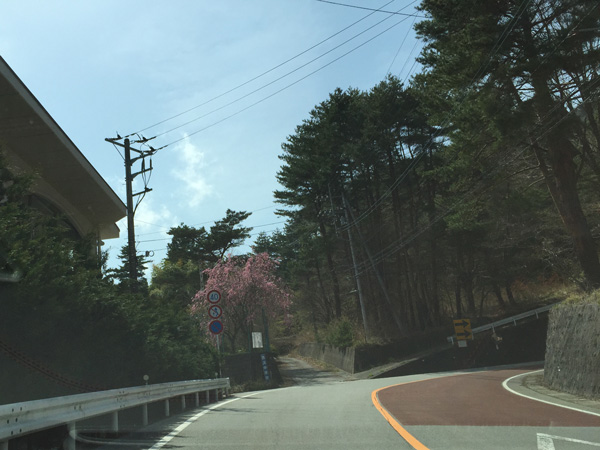 チャレンジ富士五湖