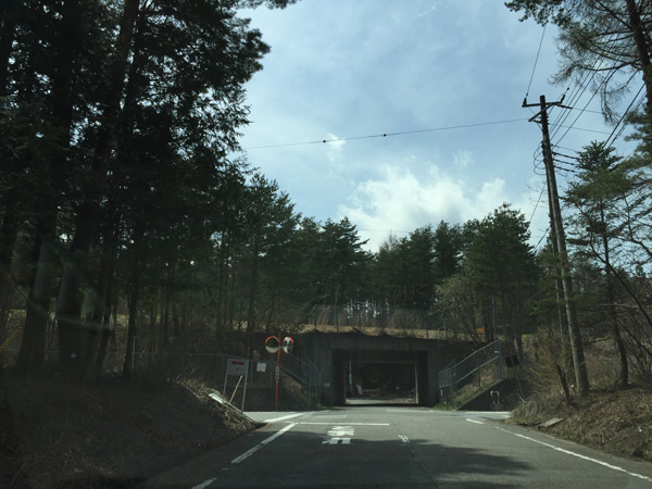 チャレンジ富士五湖