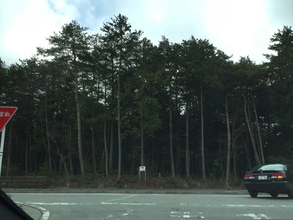 チャレンジ富士五湖