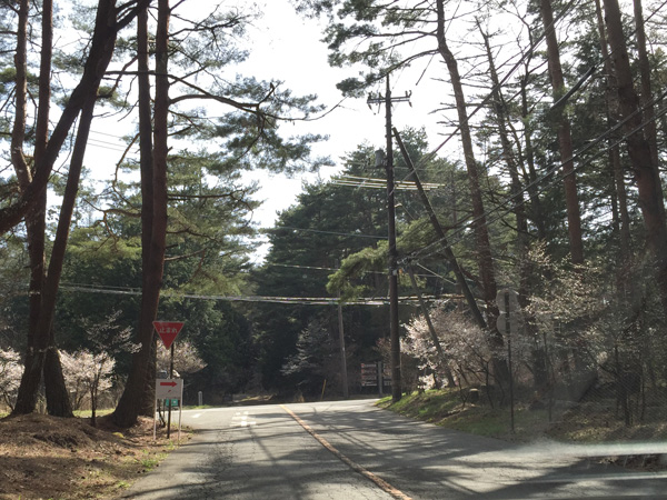 チャレンジ富士五湖