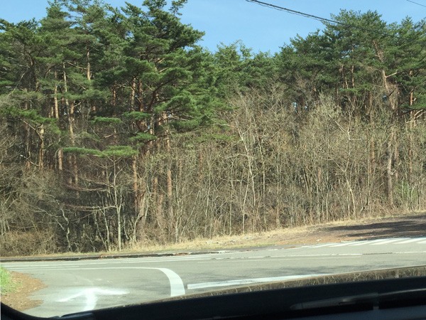 チャレンジ富士五湖