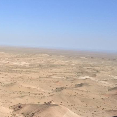 サポートランナー