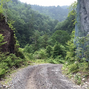 おんたけうるとらがれ場