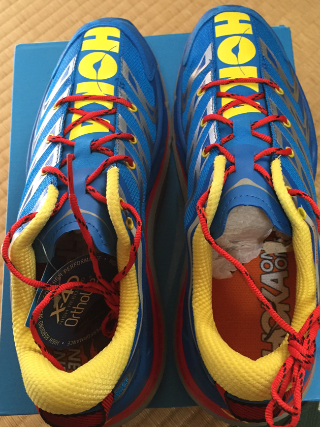 HOKA スピードゴート