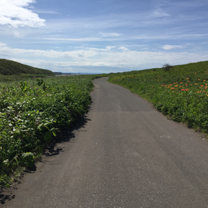 ウルトラランナー