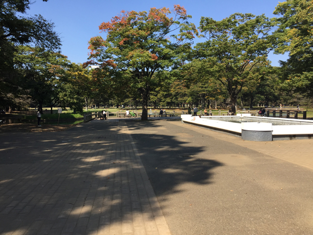 代々木公園