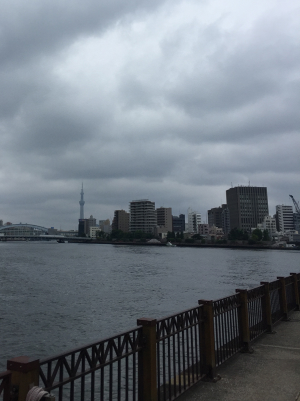 ウルトラプロジェクト