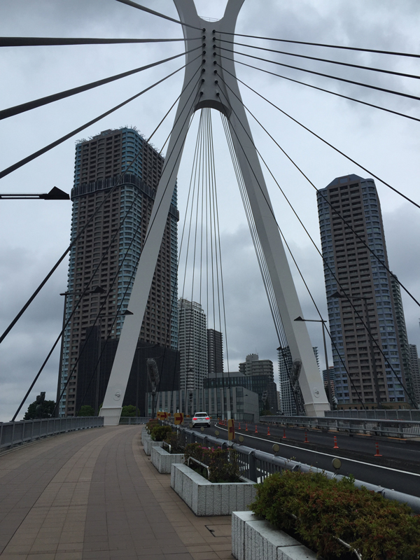 ウルトラプロジェクト