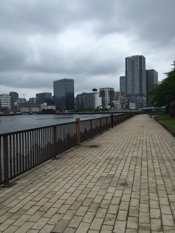 ウルトラプロジェクト