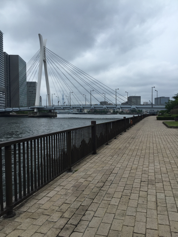 ウルトラプロジェクト