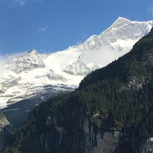 トレイルランナー