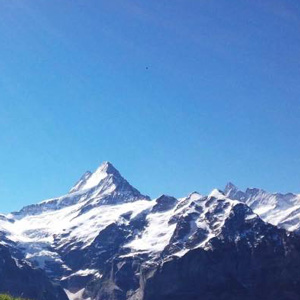 トレイルランナー