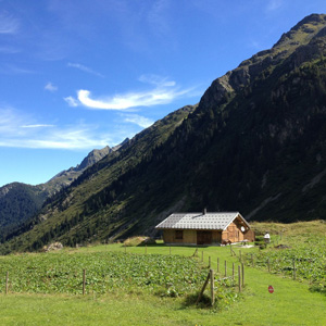 トレイルランナー