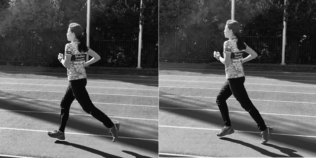 プウルトラプロジェクト