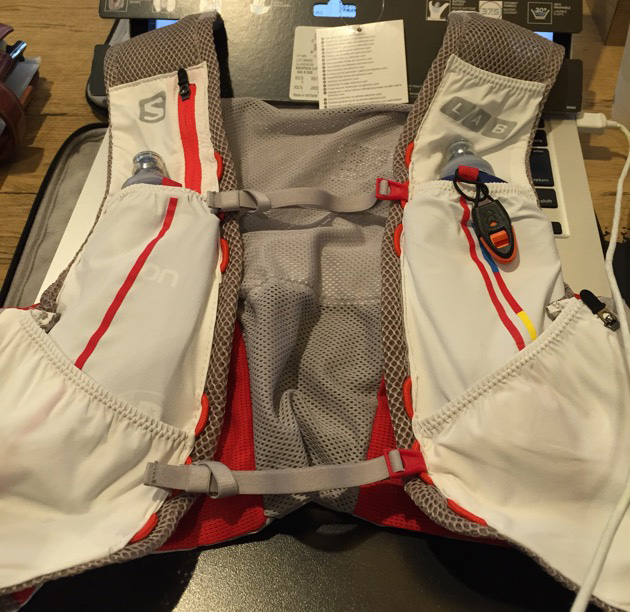 サロモンザッグ