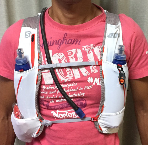 サロモンザッグ