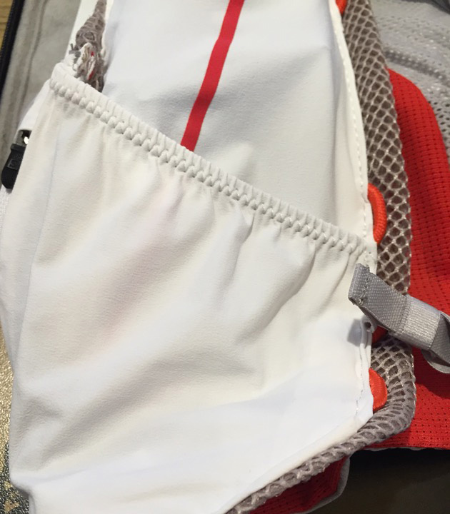 サロモンザッグ