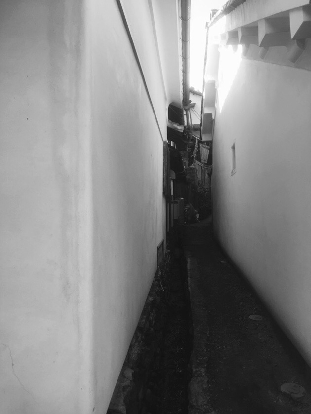 四万十川ウルトラ