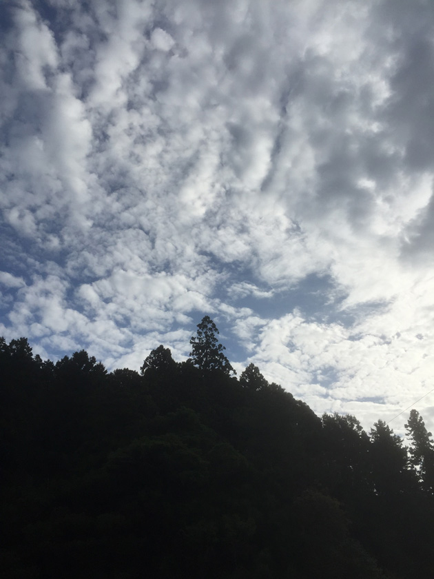 四万十川ウルトラ