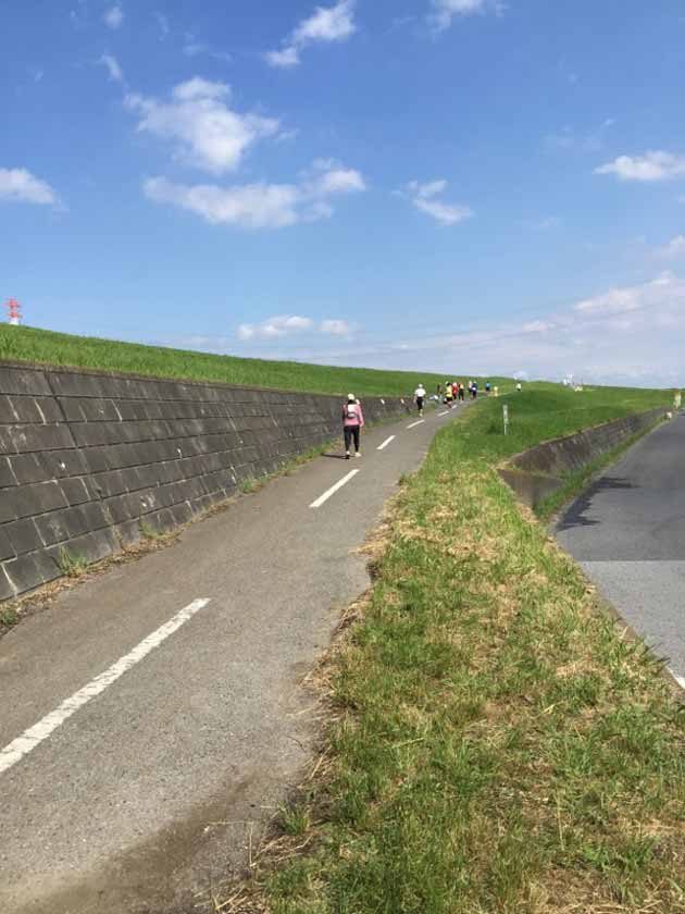 しばまたコース画像