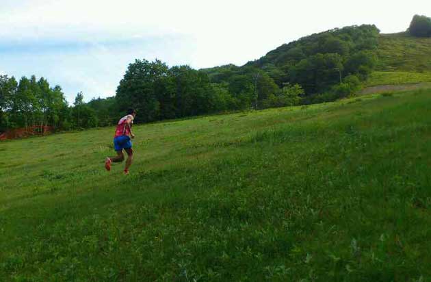 スカイランナー