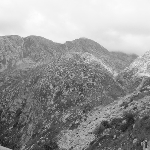 トレイルランナー