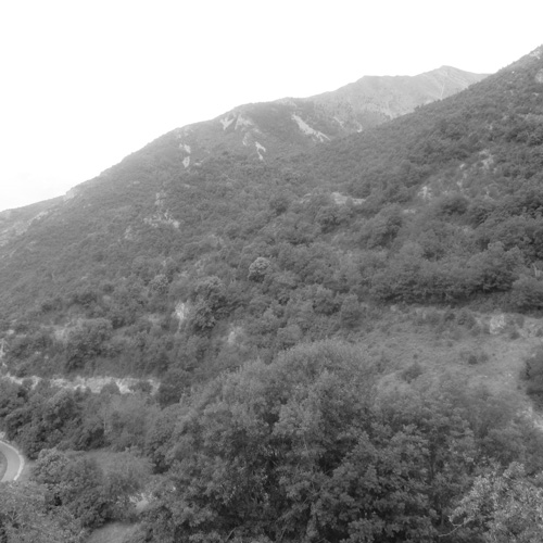 トレイルランナー