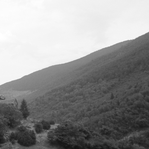 トレイルランナー