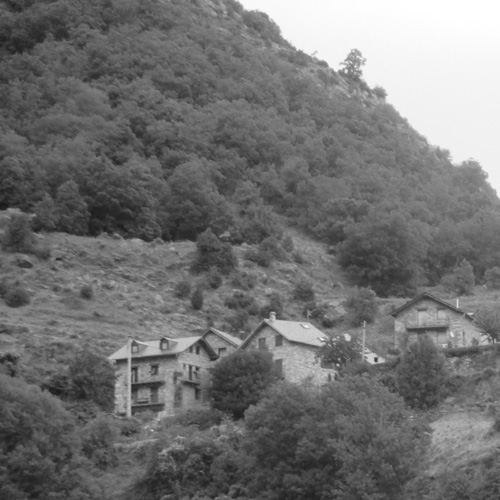 トレイルランナー