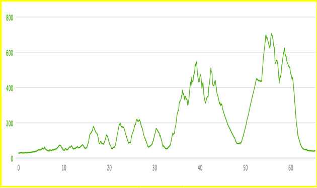 トレイルレース