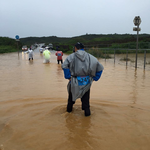 ウルトラセミナー