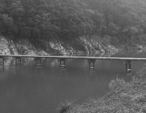 ウルトラプロジェクト