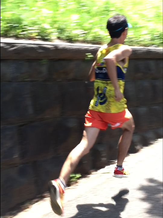 ウルトラプロジェクト