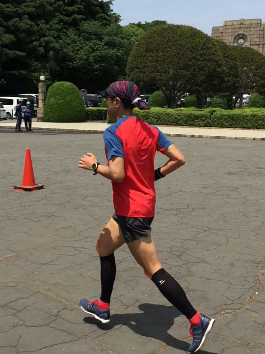 ウルトラプロジェクト