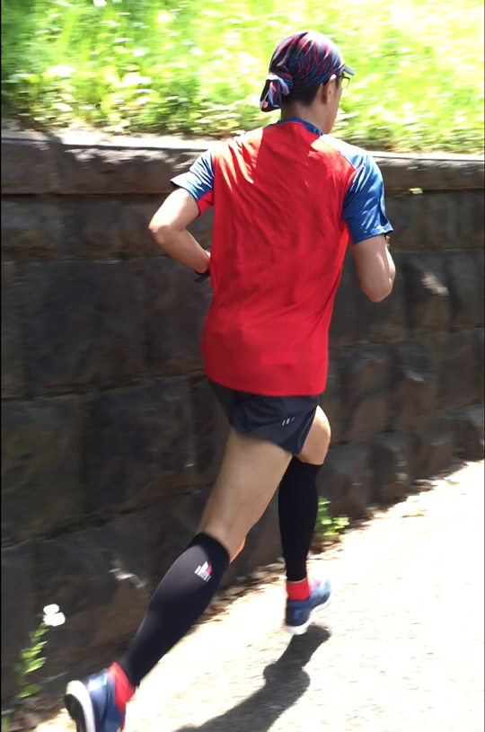 ウルトラプロジェクト