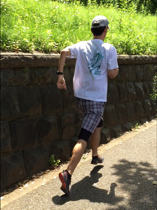 ウルトラプロジェクト