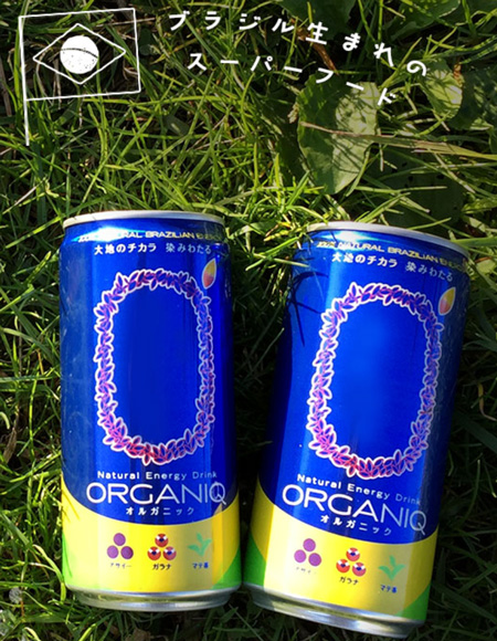 ウルトラセミナー