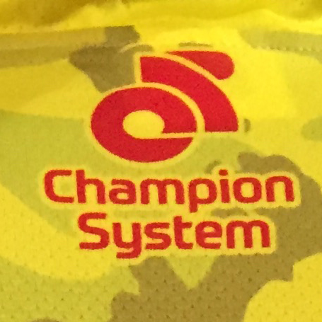 チャンピオンシステム