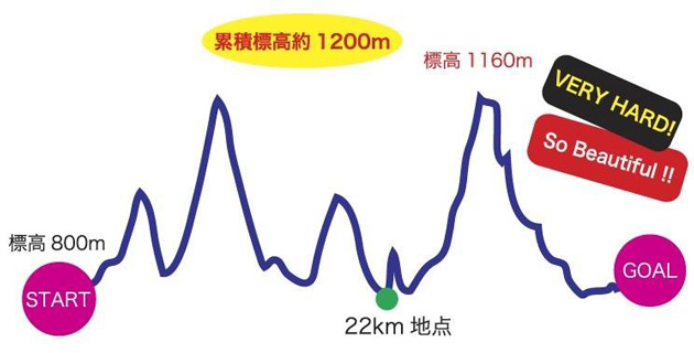 うるぎ絶景マラニック