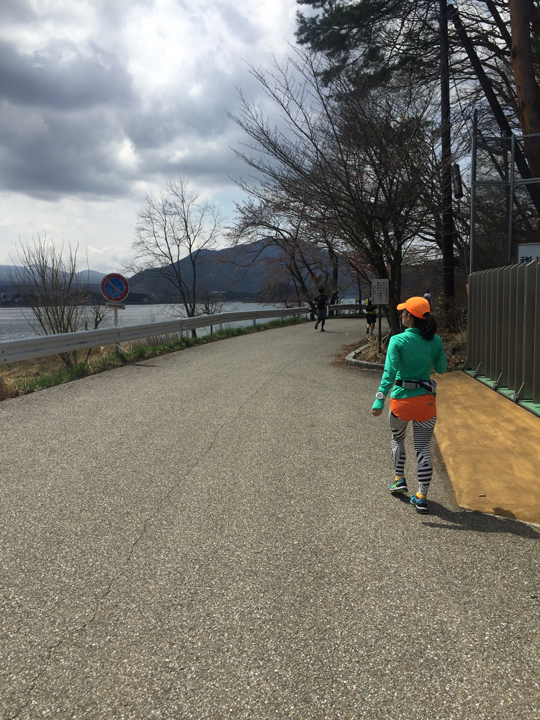 ウルトラプロジェクト