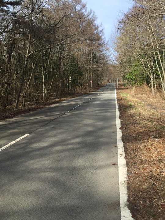 ウルトラプロジェクト