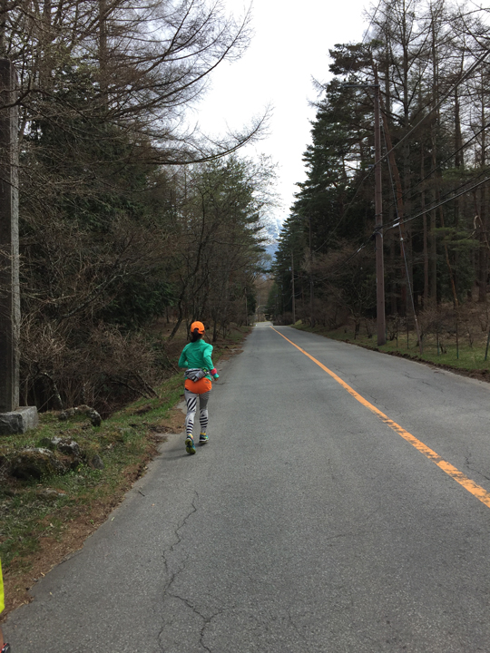 ウルトラプロジェクト