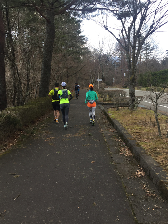 ウルトラプロジェクト